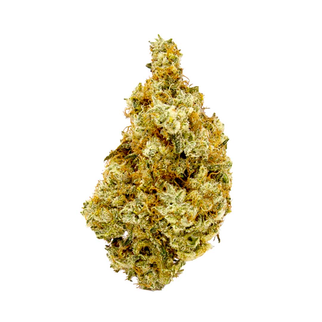Optimus Cannabis | Integrating cannabis with your health